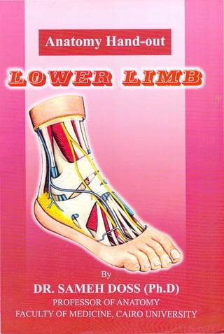 Anatomy of the Lower Limb Sameh Doss (1).pdf
