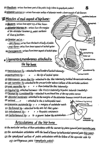 Anatomy of the Lower Limb Sameh Doss (1).pdf