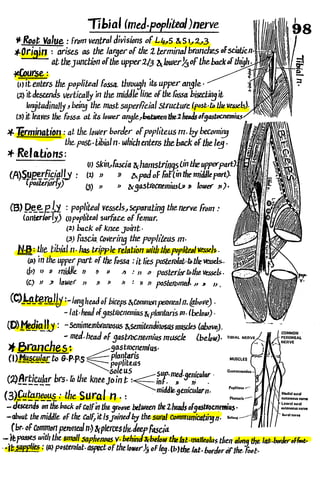 Anatomy of the Lower Limb Sameh Doss (1).pdf