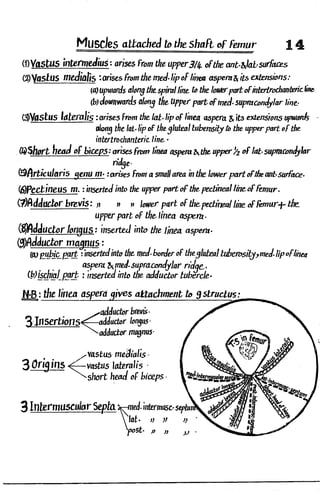 Anatomy of the Lower Limb Sameh Doss (1).pdf