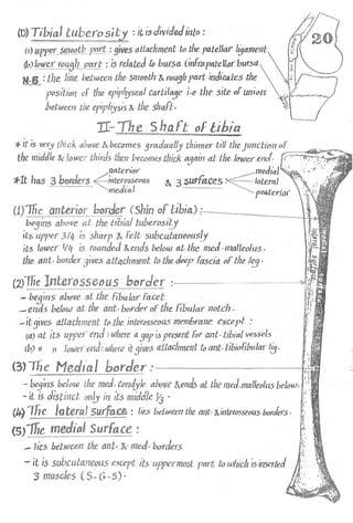 Anatomy of the Lower Limb Sameh Doss (1).pdf