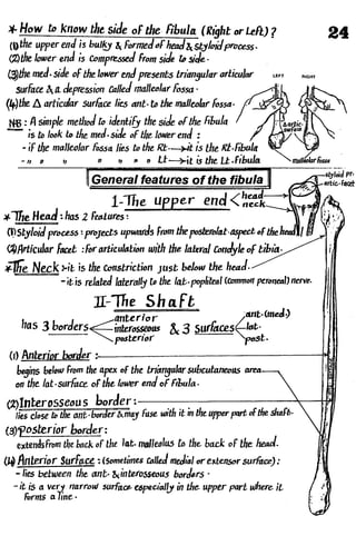 Anatomy of the Lower Limb Sameh Doss (1).pdf
