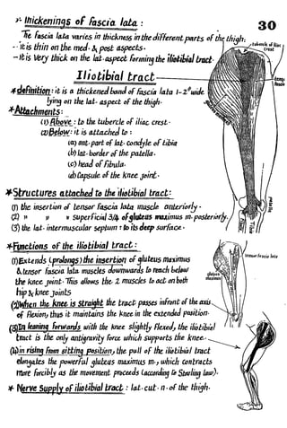 Anatomy of the Lower Limb Sameh Doss (1).pdf