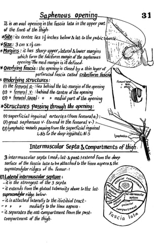 Anatomy of the Lower Limb Sameh Doss (1).pdf