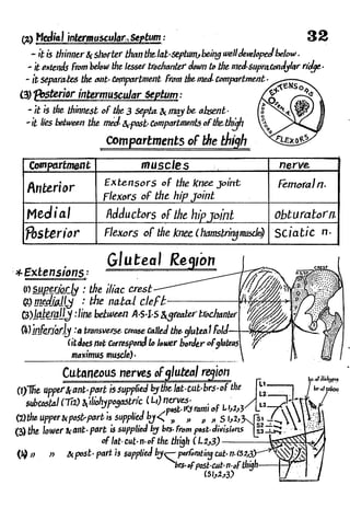Anatomy of the Lower Limb Sameh Doss (1).pdf