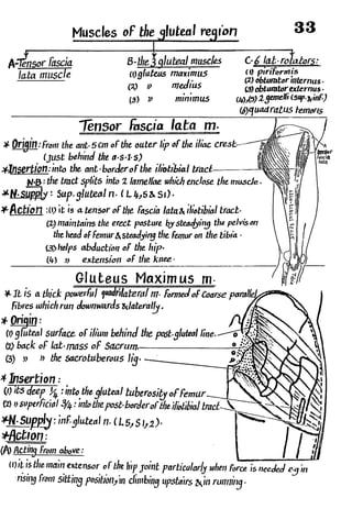 Anatomy of the Lower Limb Sameh Doss (1).pdf