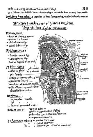 Anatomy of the Lower Limb Sameh Doss (1).pdf