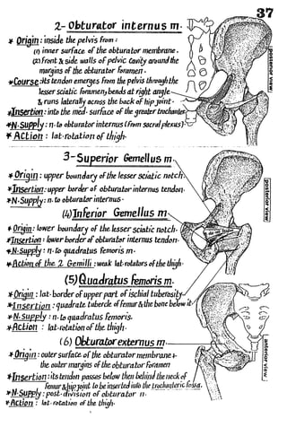Anatomy of the Lower Limb Sameh Doss (1).pdf