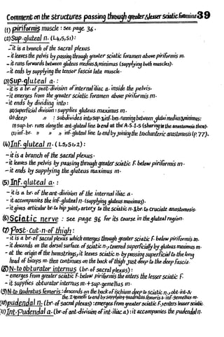 Anatomy of the Lower Limb Sameh Doss (1).pdf