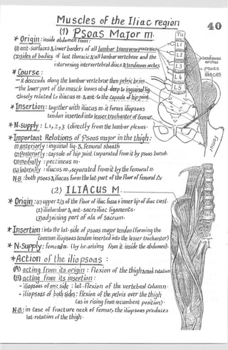 Anatomy of the Lower Limb Sameh Doss (1).pdf