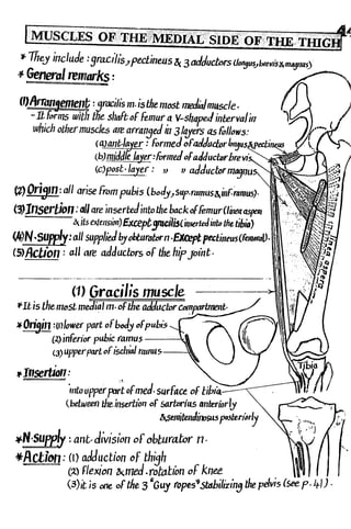 Anatomy of the Lower Limb Sameh Doss (1).pdf