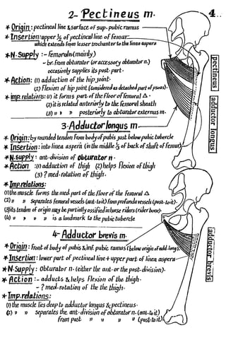 Anatomy of the Lower Limb Sameh Doss (1).pdf