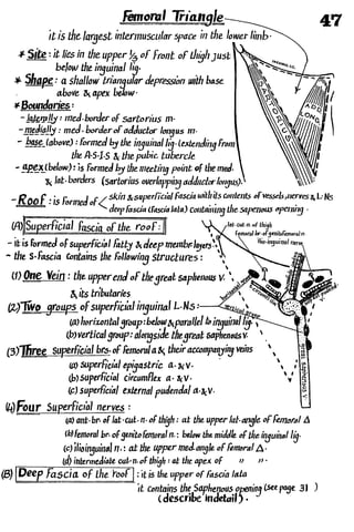 Anatomy of the Lower Limb Sameh Doss (1).pdf