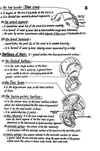 Anatomy of the Lower Limb Sameh Doss (1).pdf