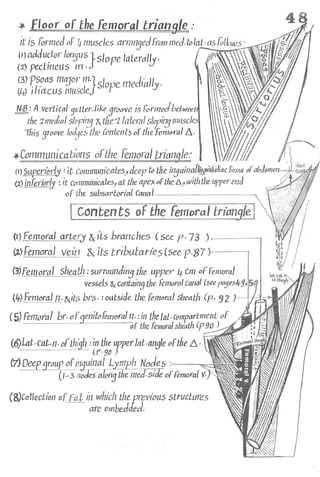 Anatomy of the Lower Limb Sameh Doss (1).pdf