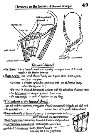 Anatomy of the Lower Limb Sameh Doss (1).pdf