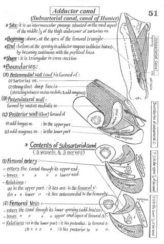 Anatomy of the Lower Limb Sameh Doss (1).pdf
