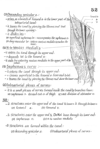 Anatomy of the Lower Limb Sameh Doss (1).pdf