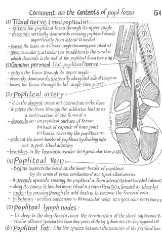 Anatomy of the Lower Limb Sameh Doss (1).pdf