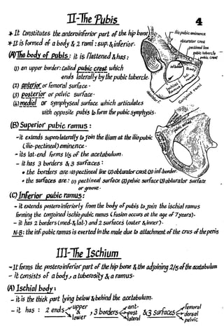 Anatomy of the Lower Limb Sameh Doss (1).pdf