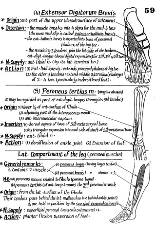 Anatomy of the Lower Limb Sameh Doss (1).pdf