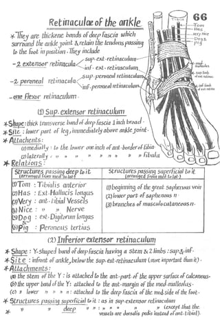 Anatomy of the Lower Limb Sameh Doss (1).pdf