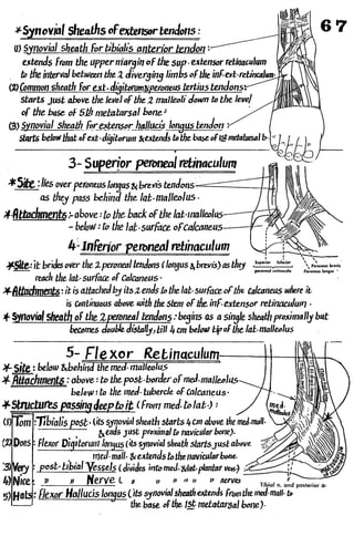 Anatomy of the Lower Limb Sameh Doss (1).pdf