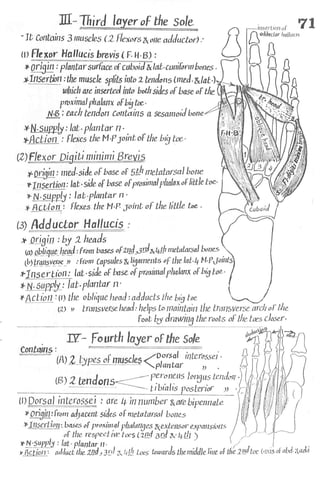 Anatomy of the Lower Limb Sameh Doss (1).pdf