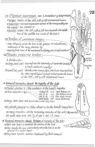 Anatomy of the Lower Limb Sameh Doss (1).pdf