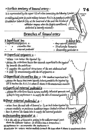 Anatomy of the Lower Limb Sameh Doss (1).pdf