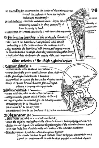 Anatomy of the Lower Limb Sameh Doss (1).pdf