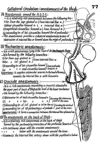 Anatomy of the Lower Limb Sameh Doss (1).pdf
