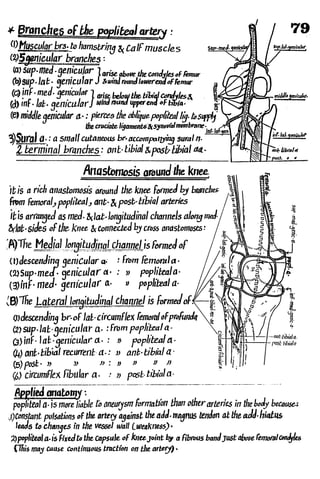 Anatomy of the Lower Limb Sameh Doss (1).pdf