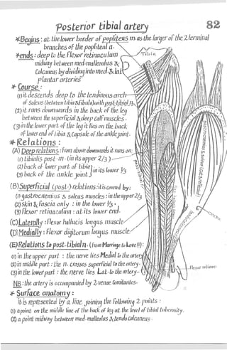 Anatomy of the Lower Limb Sameh Doss (1).pdf