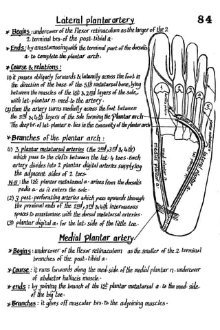 Anatomy of the Lower Limb Sameh Doss (1).pdf