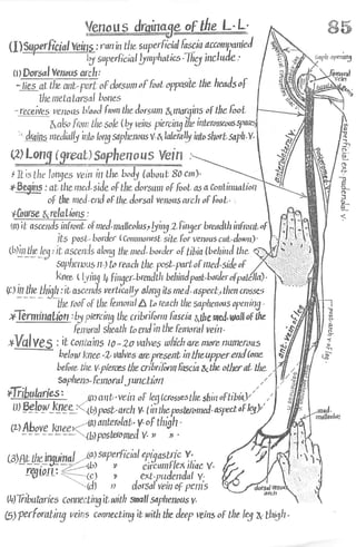 Anatomy of the Lower Limb Sameh Doss (1).pdf