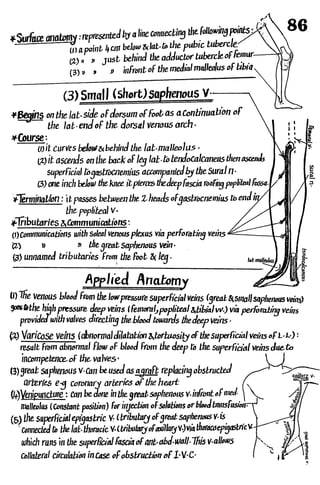 Anatomy of the Lower Limb Sameh Doss (1).pdf