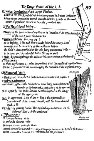 Anatomy of the Lower Limb Sameh Doss (1).pdf