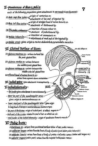 Anatomy of the Lower Limb Sameh Doss (1).pdf