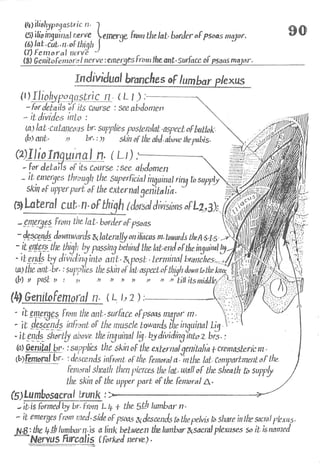 Anatomy of the Lower Limb Sameh Doss (1).pdf