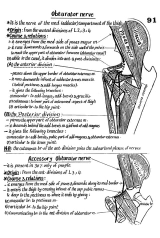 Anatomy of the Lower Limb Sameh Doss (1).pdf