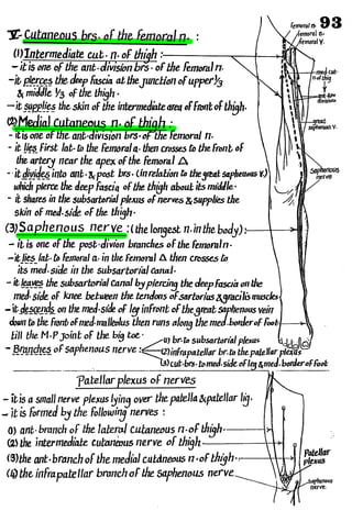 Anatomy of the Lower Limb Sameh Doss (1).pdf