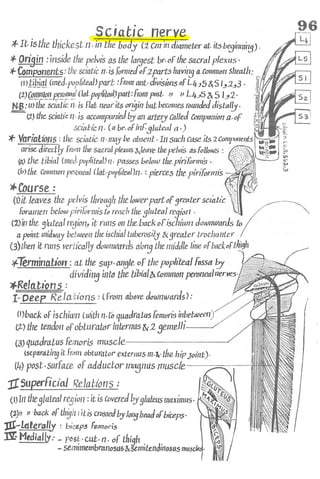 Anatomy of the Lower Limb Sameh Doss (1).pdf