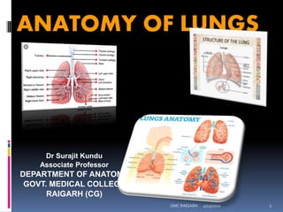 ANATOMY OF LUNGS
Dr Surajit Kundu
Associate Professor
DEPARTMENT OF ANATOMY
GOVT. MEDICAL COLLEGE
RAIGARH (CG)
4/15/2021 1
GMC RAIGARH
 
