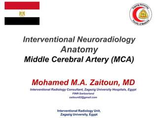 Interventional Neuroradiology
Anatomy
Middle Cerebral Artery (MCA)
Mohamed M.A. Zaitoun, MD
Interventional Radiology Consultant, Zagazig University Hospitals, Egypt
FINR-Switzerland
zaitoun82@gmail.com
Interventional Radiology Unit,
Zagazig University, Egypt
 