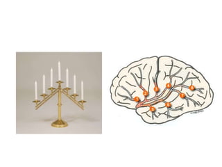 Anatomy of the middle cerebral artery (MCA) | PPT
