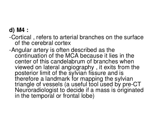 Anatomy Of The Middle Cerebral Artery Mca