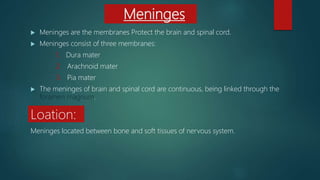 Meninges
 Meninges are the membranes Protect the brain and spinal cord.
 Meninges consist of three membranes:
1. Dura mater
2. Arachnoid mater
3. Pia mater
 The meninges of brain and spinal cord are continuous, being linked through the
foramen magnum.
Meninges located between bone and soft tissues of nervous system.
Loation:
 