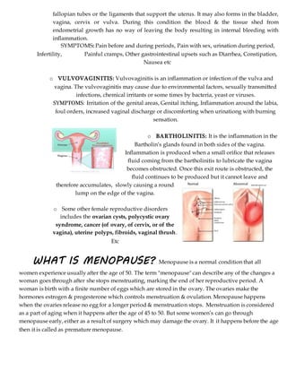 Female Reproductive System | PDF