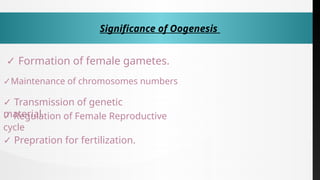 Comprehensive Overview of Ovary Functions and Hormonal Regulation in ...